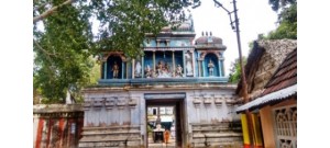 134. திருநன்னிலத்துப் பெருங்கோயில்